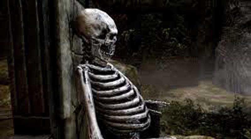 skeleton found in contai