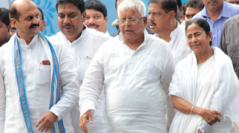 lalu_web