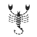 scorpio