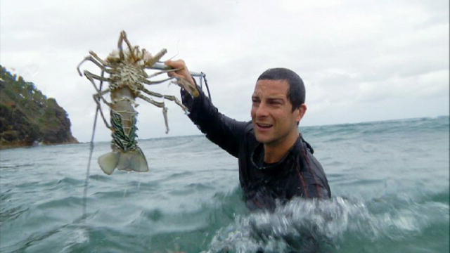 128095766858912065616601197_Lobster_Dinner