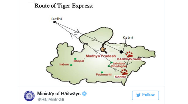 Tiger-express-twitt