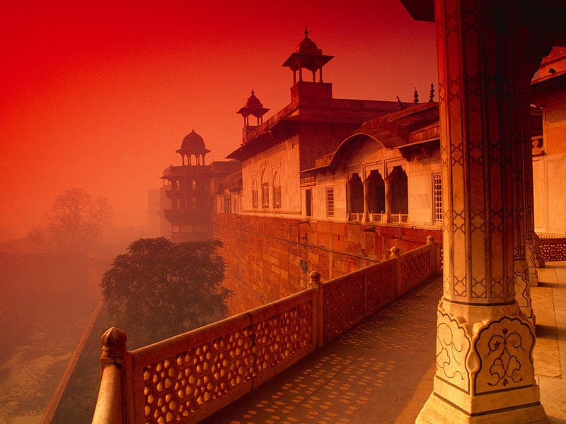 agrafort2_web