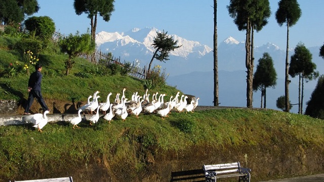 ramdhura 1