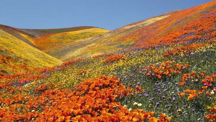 valley1_web