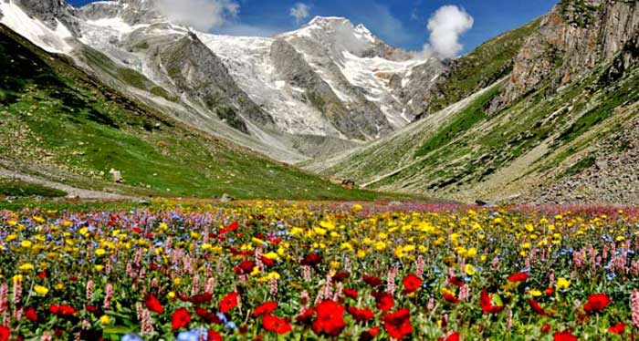 valley2_web