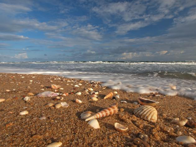 Balighai-Beach