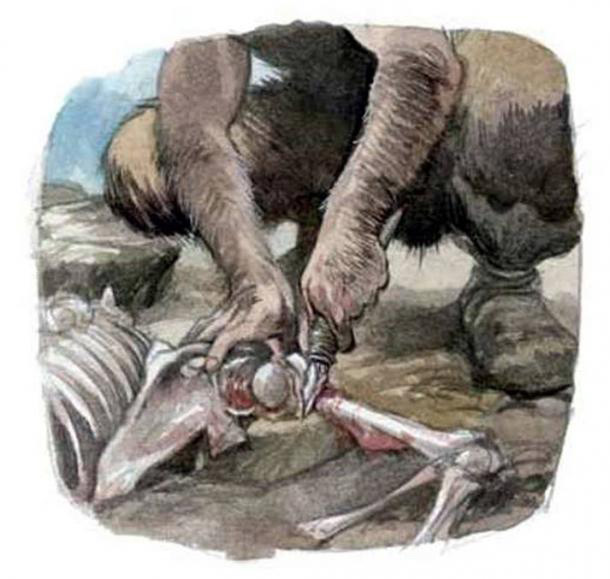 neanderthal1_web