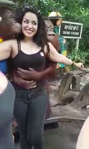 orangutan2_web