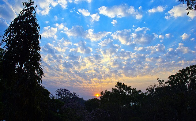 Horsley-Hills