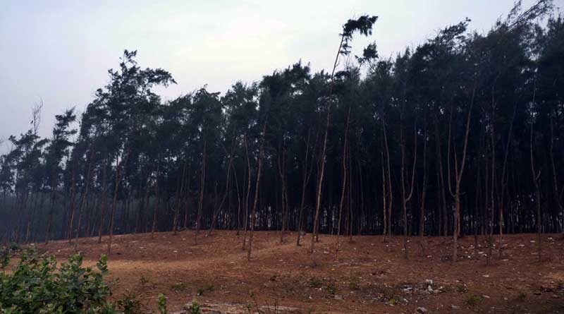 Woman’s dead body found at New Digha