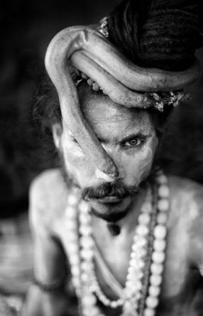 aghori2_web