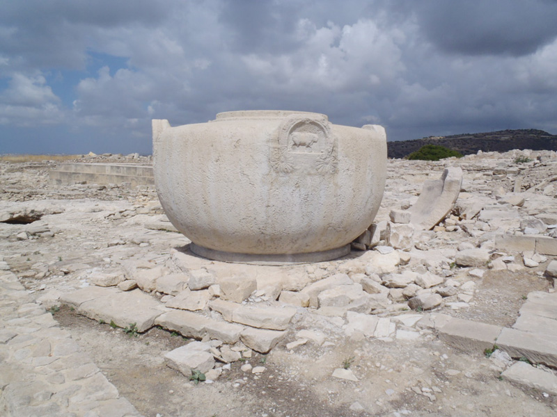 amathus1_web