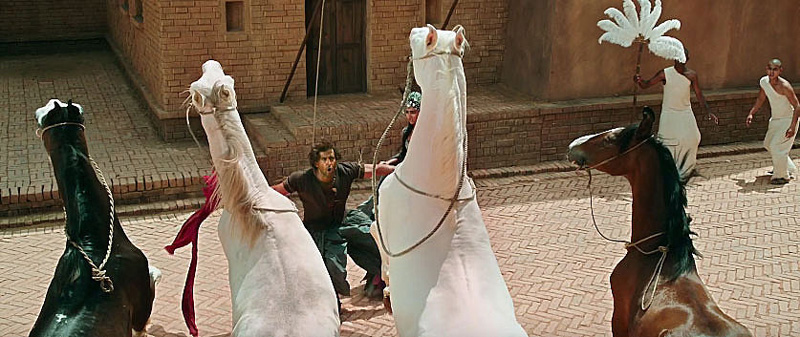 mohenjodaro2_web