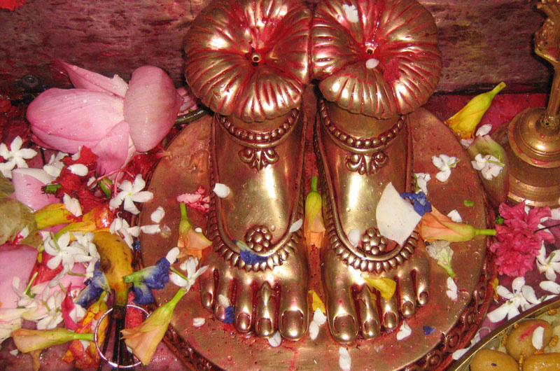 tarapith4_web