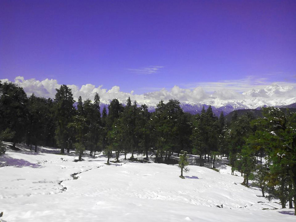 chopta-8739563