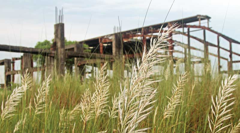 Singur Wants To Back To Agriculture, Soil Testing Is In Spree 