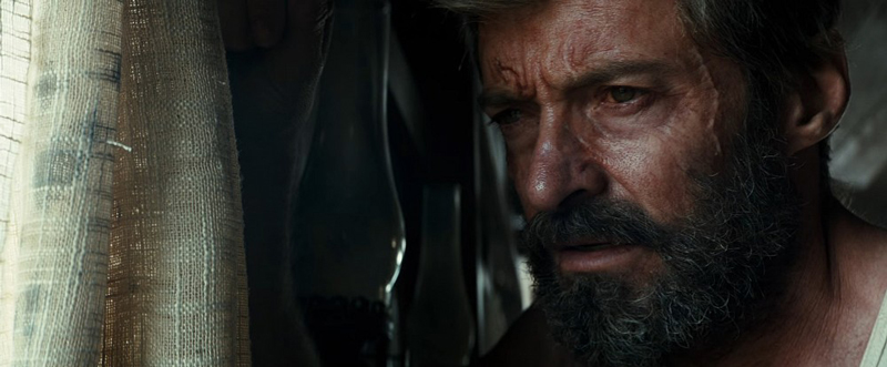 logan3_web