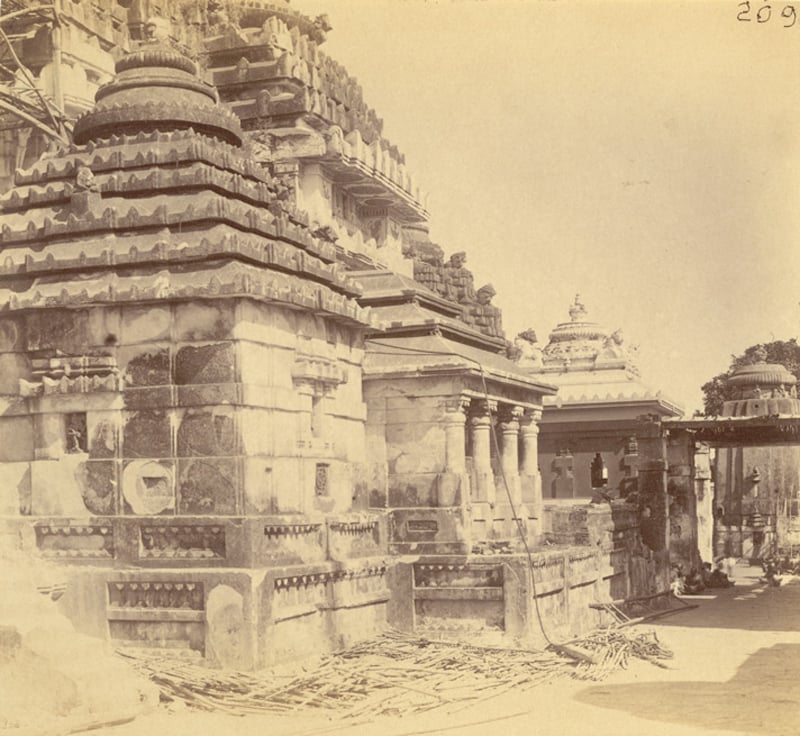vimala1_web