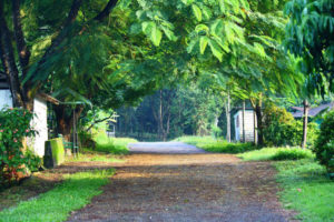 around-bunkulung5