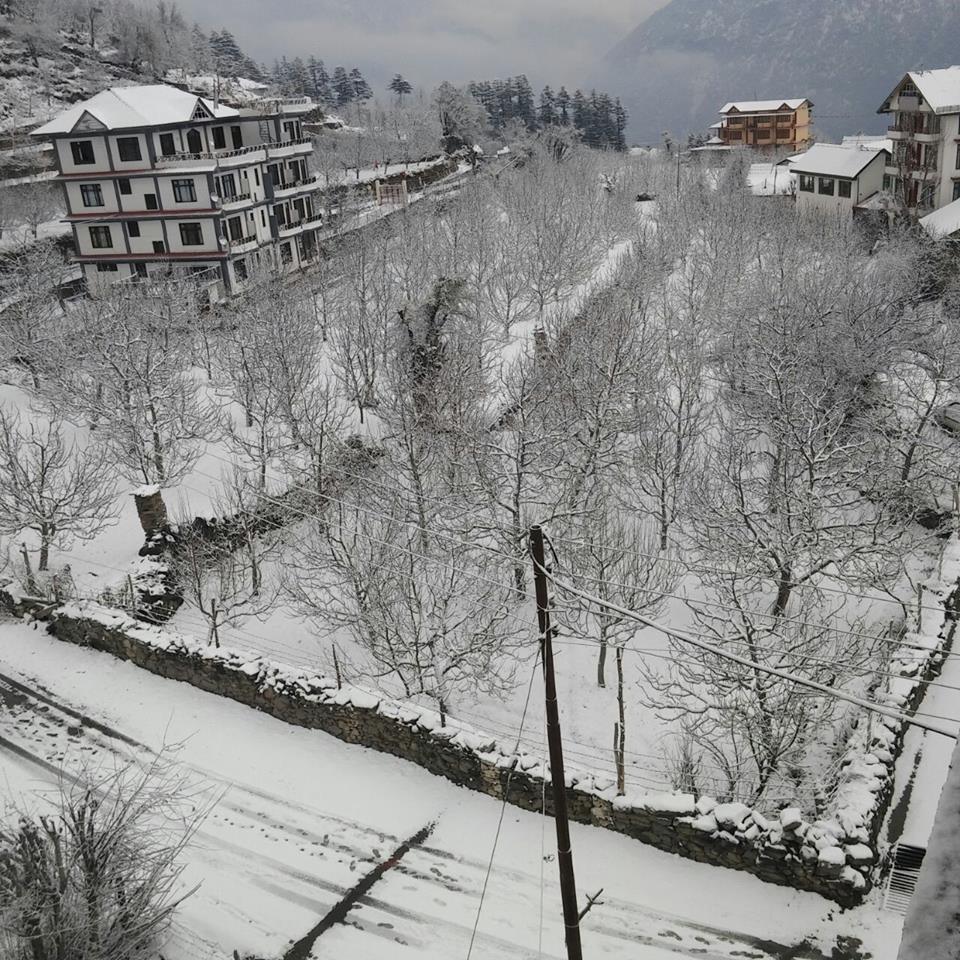 shimla8