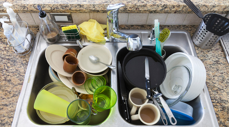 Unwashed dish may pose serious health risk 