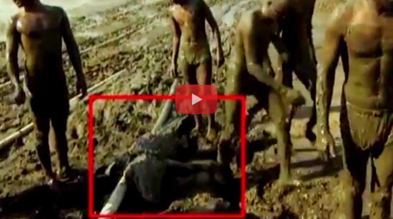 Brave Karnataka farmer rescues crocodile stuck in mud, Viral Video