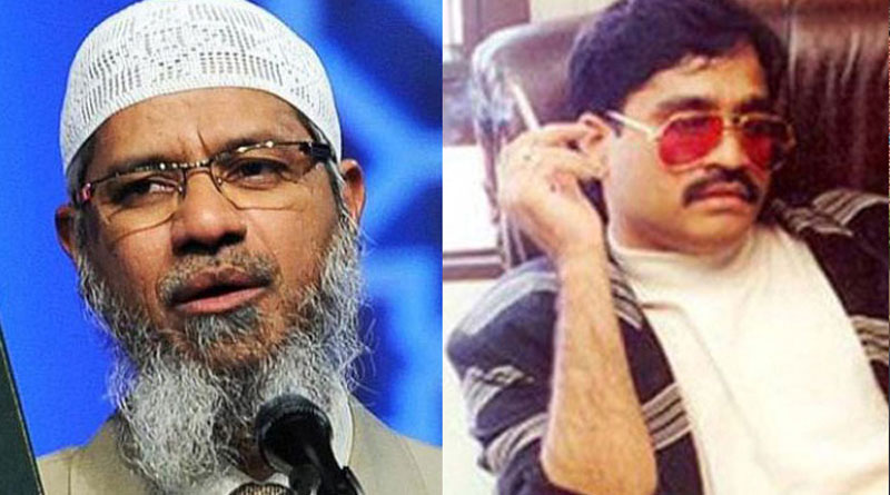 Dawood Ibrahim funded Zakir Naik's NGO through hawala 