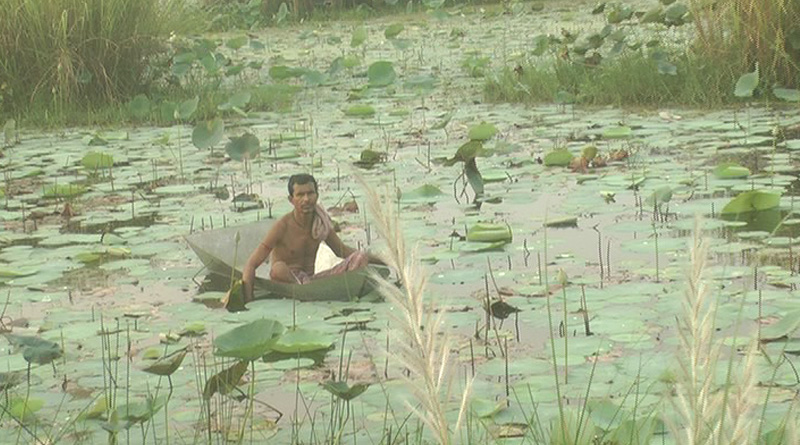 EMID-LOTUS.jpg-2