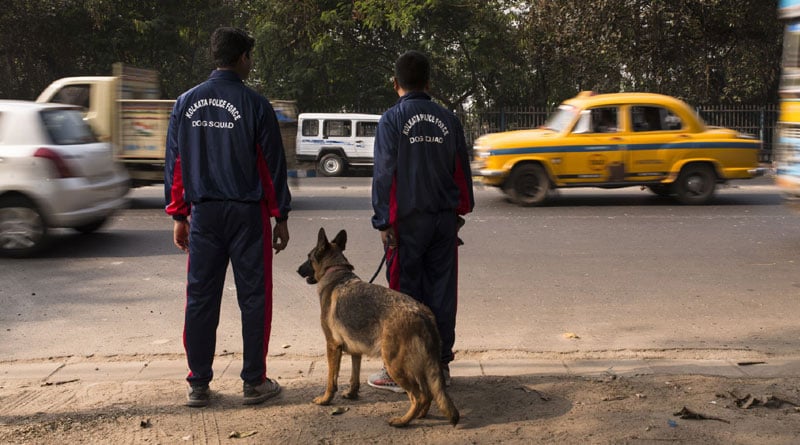 Kolkata Police dog squad to get 'new dress' this Puja