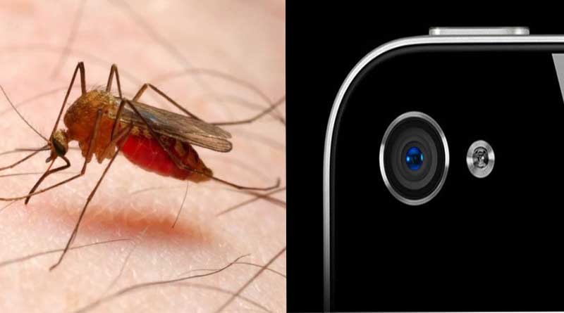 Now Mobile phones will detect Malaria 