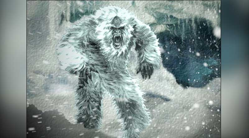 According to DNA tests, Yetis are just local bears