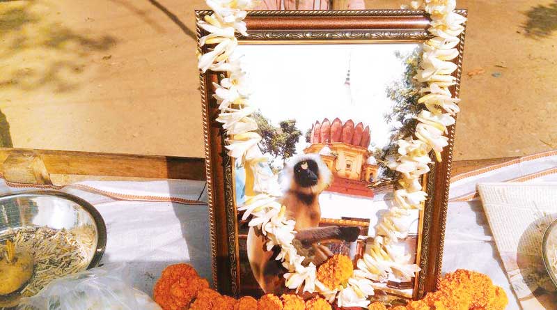 Three thousand people attended fenural ceremony of a Monkey at Baduria