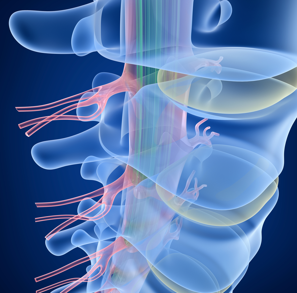 SPINAL-CRD