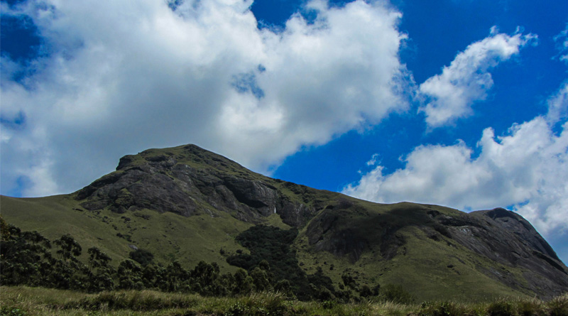 munnar-6-web