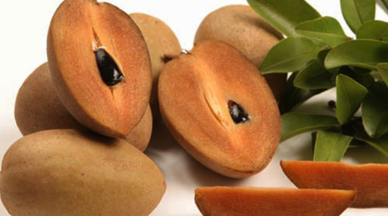 Humble Chiku can rejuvenate health, boost bone health