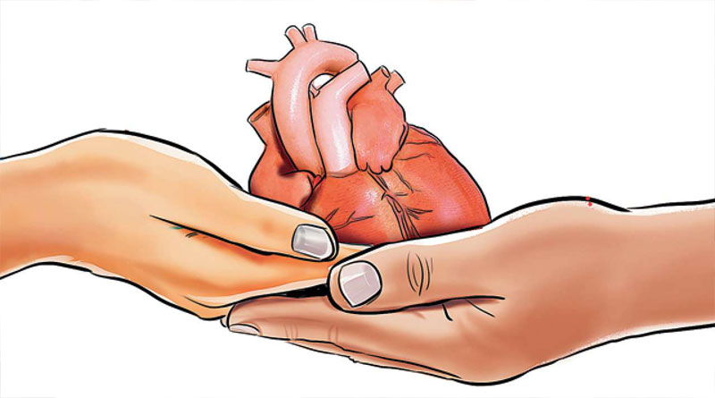 Bangla News of Organ Donation: Body parts of South Kolkata youth donated by family after his brain death| Sangbad Pratidin