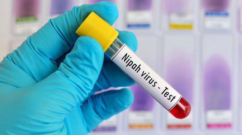 Kerala student catches Nipah, Govt urges people to stay calm
