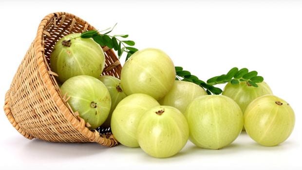 amla 3