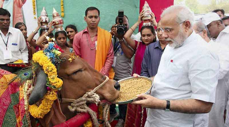 PM Modi to gift 200 cows to Rwanda President