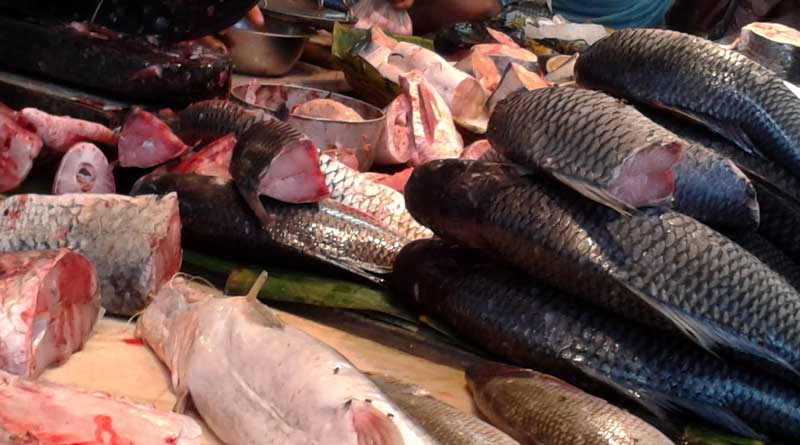 Is formalin present in your fish? Detect in these ways