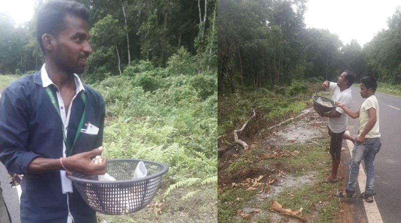 Environmentalists spread of jackfruit seeds to save forests, regarding flyover issue 