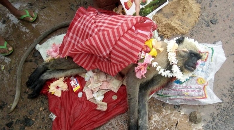 Hanuman dies in accident. Muslims construct temple 