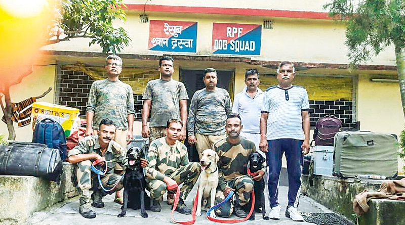 Kerala dog goes viral after saving owners life