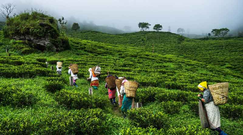 Hills to get investment from hoteliers