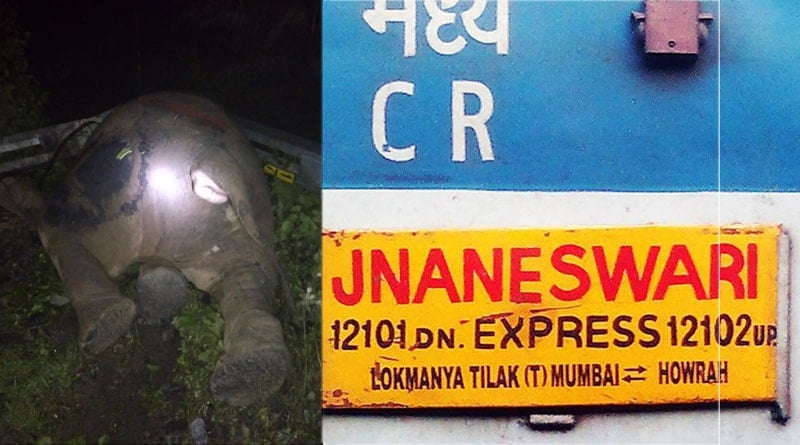 3 elephant killed on rail accident