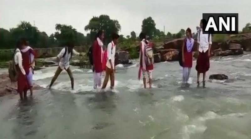 MP: Children forced to cross stream to reach school