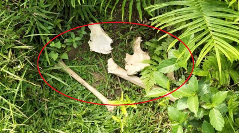 Kids discover skeleton while playing in Nadia