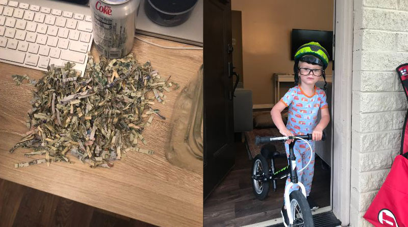 2 year old demolishes Cash over thousand dollars