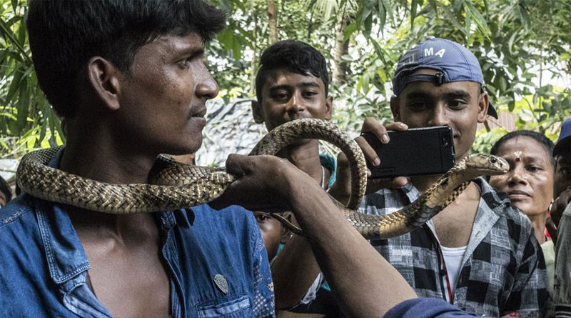 Innovative theft in Kolkata using Snake