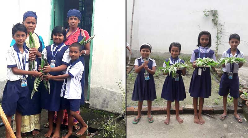 School grow 'Kitchen Garden' on rooftop